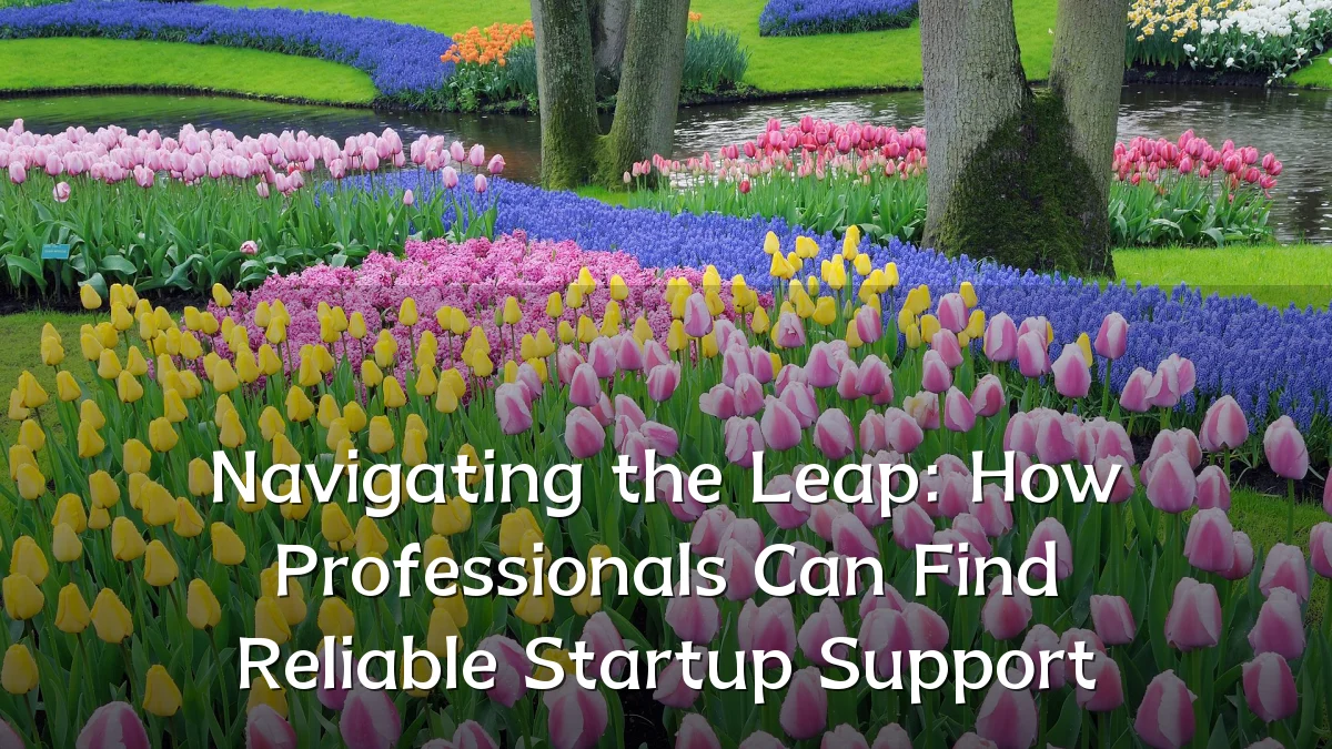 Navigating the Leap: How Professionals Can Find Reliable Startup Support
