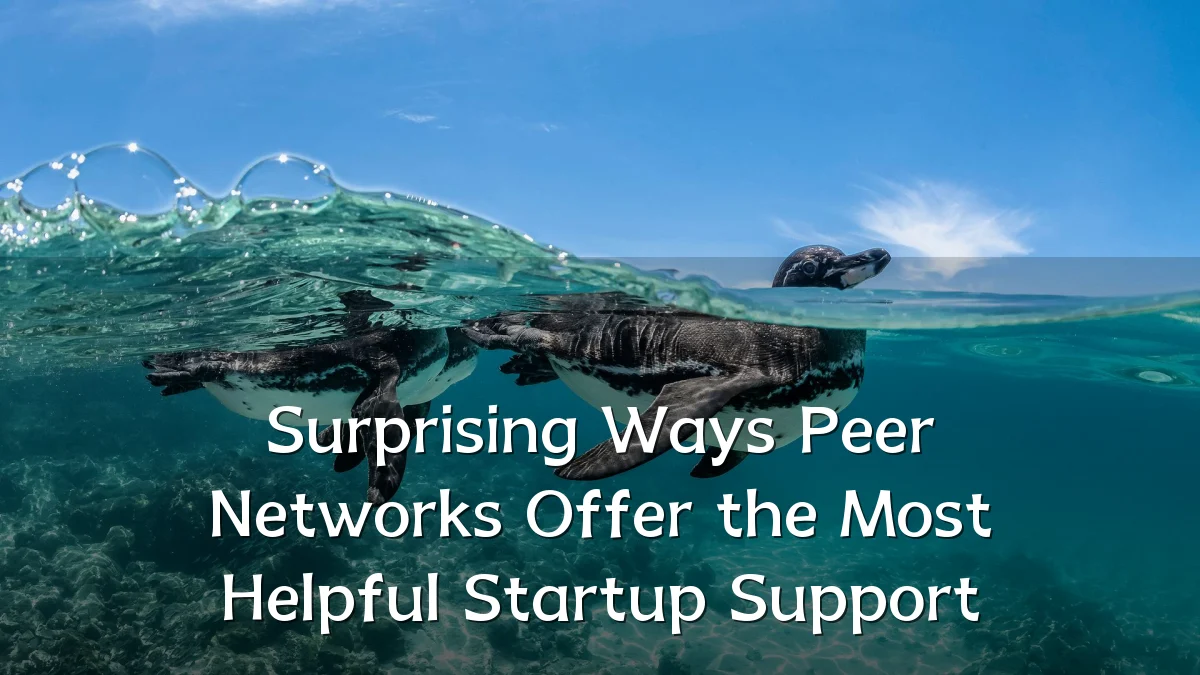 Surprising Ways Peer Networks Offer the Most Helpful Startup Support
