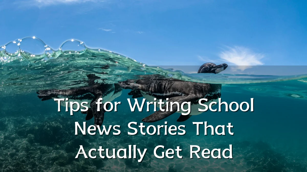 Tips for Writing School News Stories That Actually Get Read