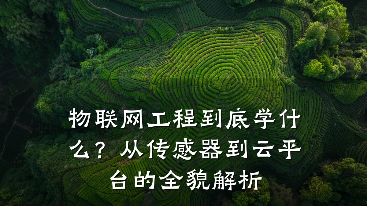 物联网工程到底学什么?从传感器到云平台的全貌解析