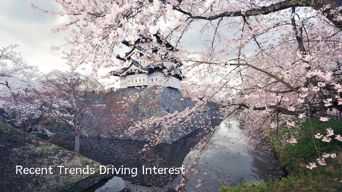 Recent Trends Driving Interest