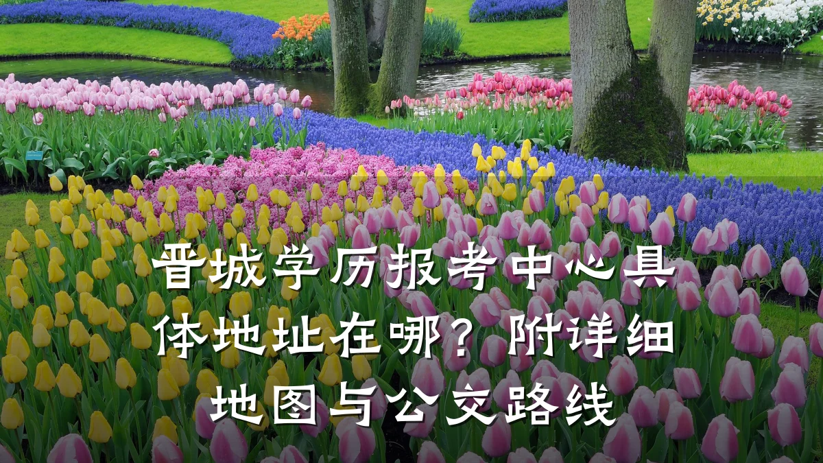 晋城学历报考中心具体地址在哪?附详细地图与公交路线
