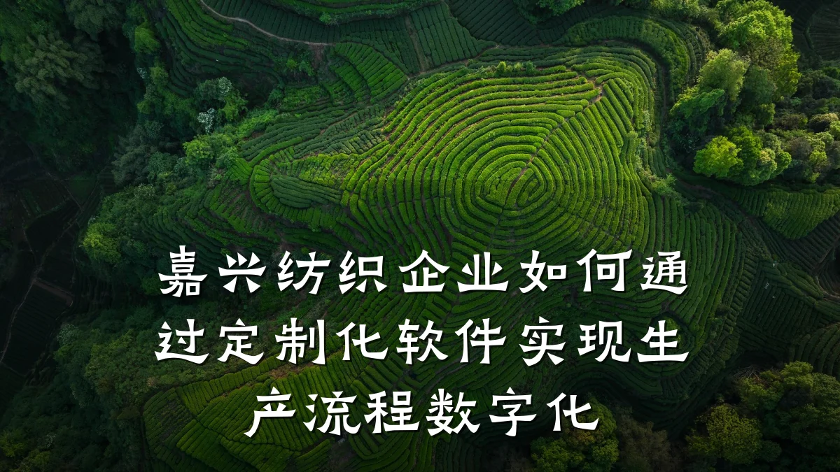 嘉兴纺织企业如何通过定制化软件实现生产流程数字化