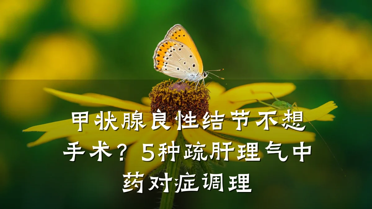 甲状腺良性结节不想手术?5种疏肝理气中药对症调理