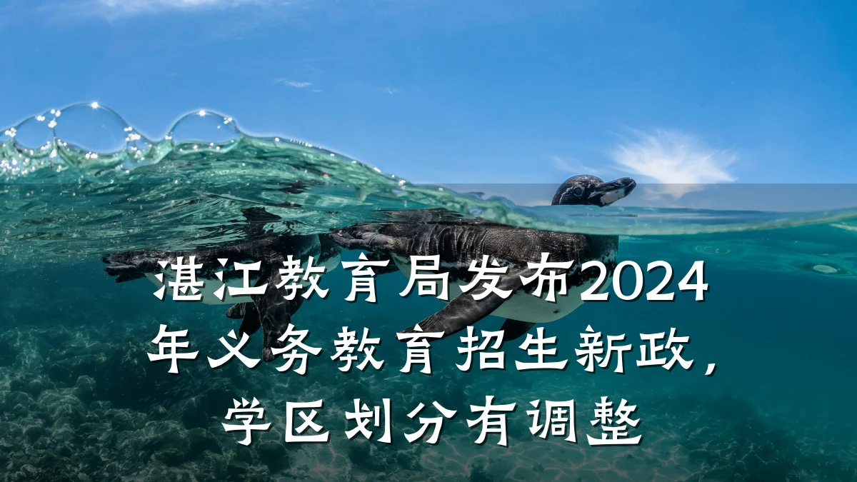 湛江教育局发布2024年义务教育招生新政，学区划分有调整