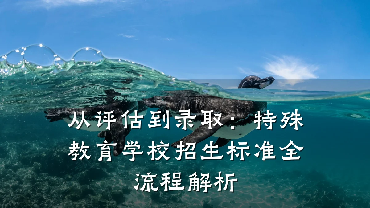 从评估到录取:特殊教育学校招生标准全流程解析