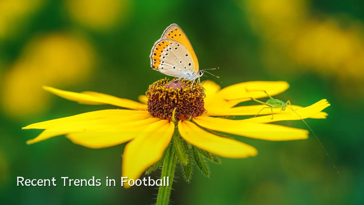 Recent Trends in Football